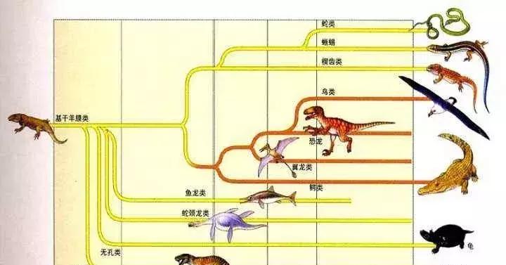 恐龙灭绝的原因是什么（恐龙绝种的真正原因）-第6张图片