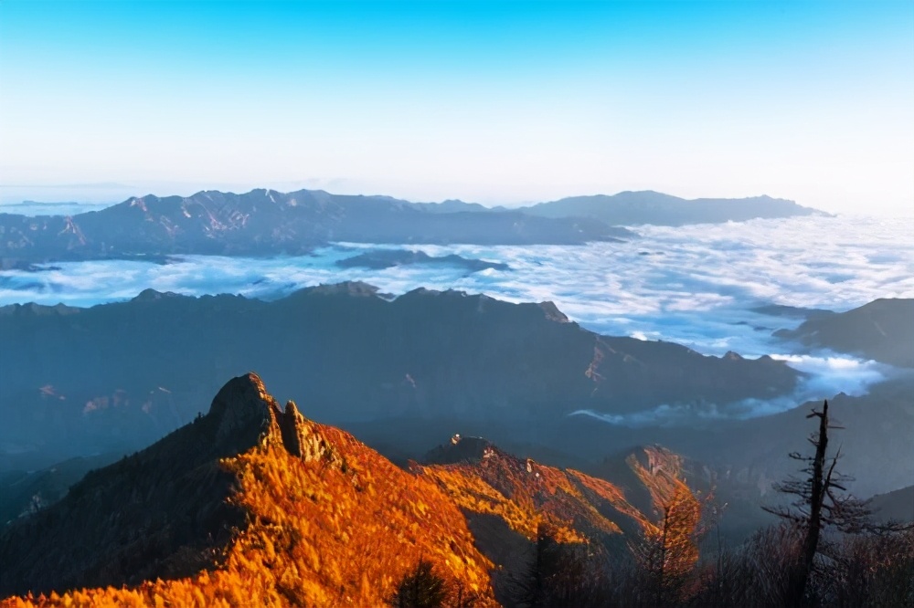 农夫山泉水源地有几个（农夫山泉十大水源地）-第10张图片