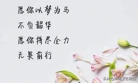 只争朝夕不负韶华什么意思（鲜衣怒马少年时,不负韶华行且知）-第2张图片