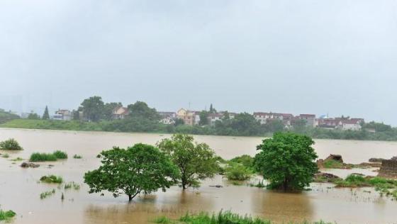 梅雨季节是什么时间（梅雨的危害和好处）-第3张图片