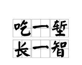 吃一堑长一智的意思(吃一堑,长一智读音)-第2张图片 吃一堑长一智的意思(吃一堑,长一智读音)-第2张图片
