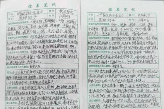 读书计划怎么写（小学生读书计划怎么写）-第2张图片