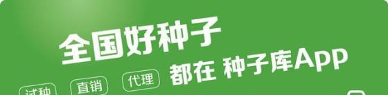 露天西红柿几月份播种(六月份种西红柿晚吗)-第4张图片