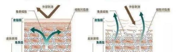 补水和保湿有什么区别（护肤品补水十大排名）-第2张图片