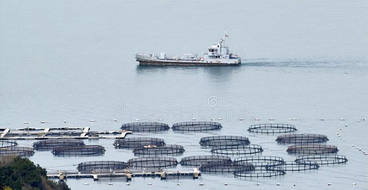 世界十大粮食出口国（世界十大最顶尖的农业）-第6张图片