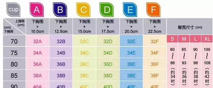 abcd罩杯怎么区分大小（ABCD代表什么意思吗）-第3张图片