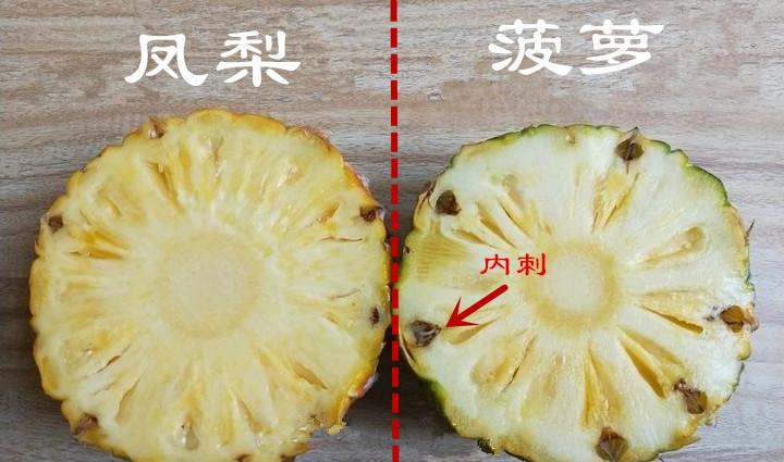 菠萝和凤梨有什么区别（凤梨和菠萝是不是同一种水果）-第5张图片
