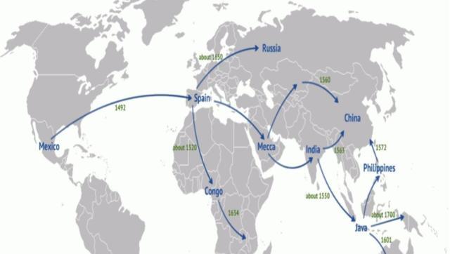 哪个朝代能吃到玉米(玉米造就了康乾盛世)-第6张图片