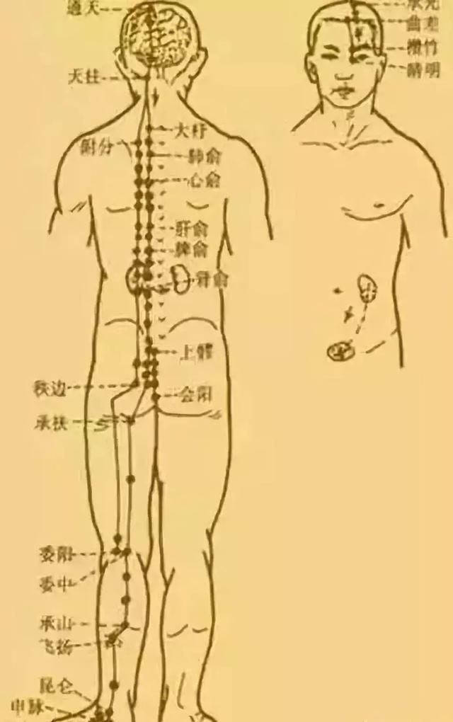 2021年三九天时间表（2021年三九进九时间表）-第10张图片