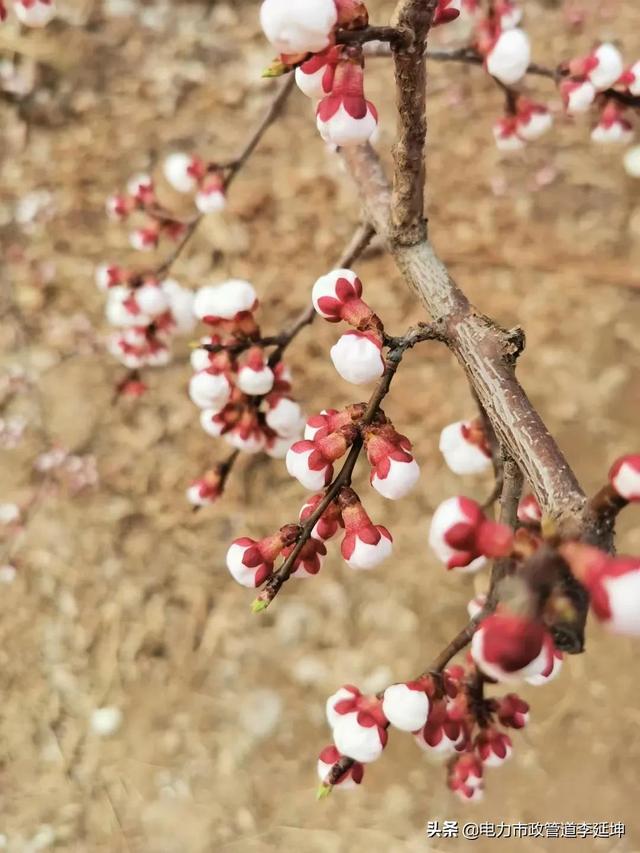 时过境迁沧海桑田（时过境迁感慨的句子）-第2张图片