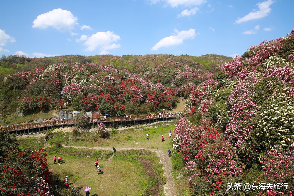 贵州旅游十大景点排名（贵州最值得去旅行的十大景点）-第11张图片