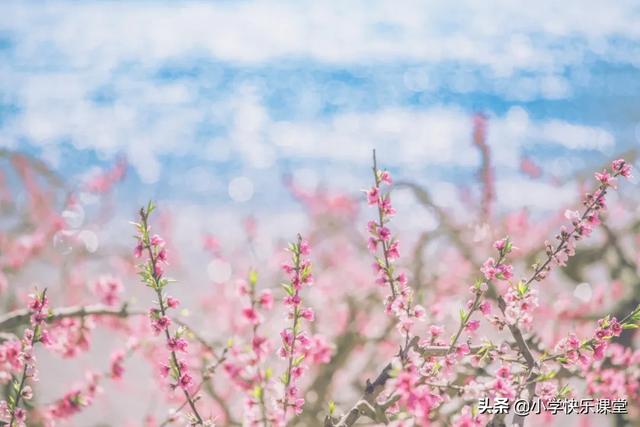 春暖花开的简短句子（描写春暖花开的句子的优美段落）-第7张图片