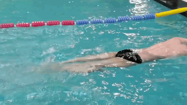 自由泳打腿技巧（自由泳脚打水技巧）