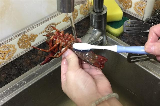 龙虾怎么洗简单又干净（龙虾和什么菜一起烧好吃）-第5张图片