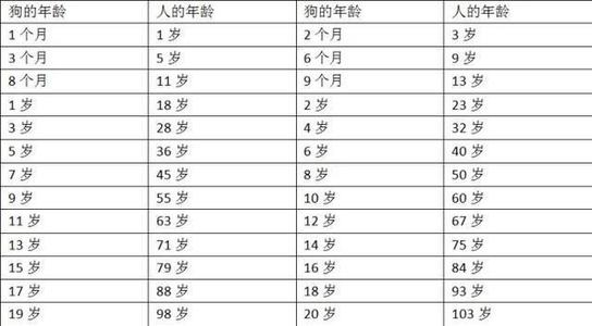 狗的寿命一般多长（狗狗寿命有多长）-第2张图片