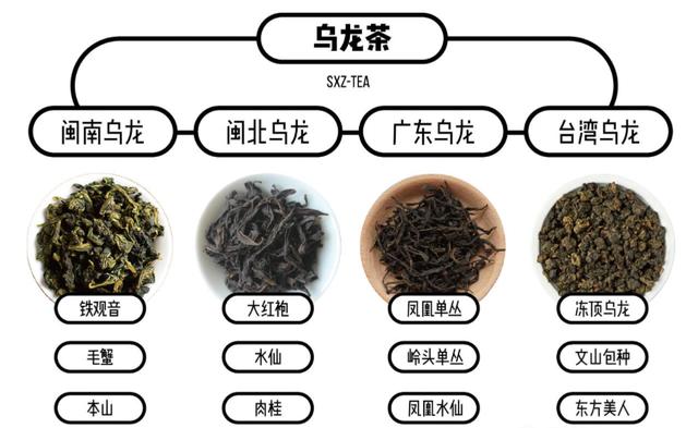 乌龙茶是什么茶 乌龙茶属于红茶还是绿茶-第2张图片