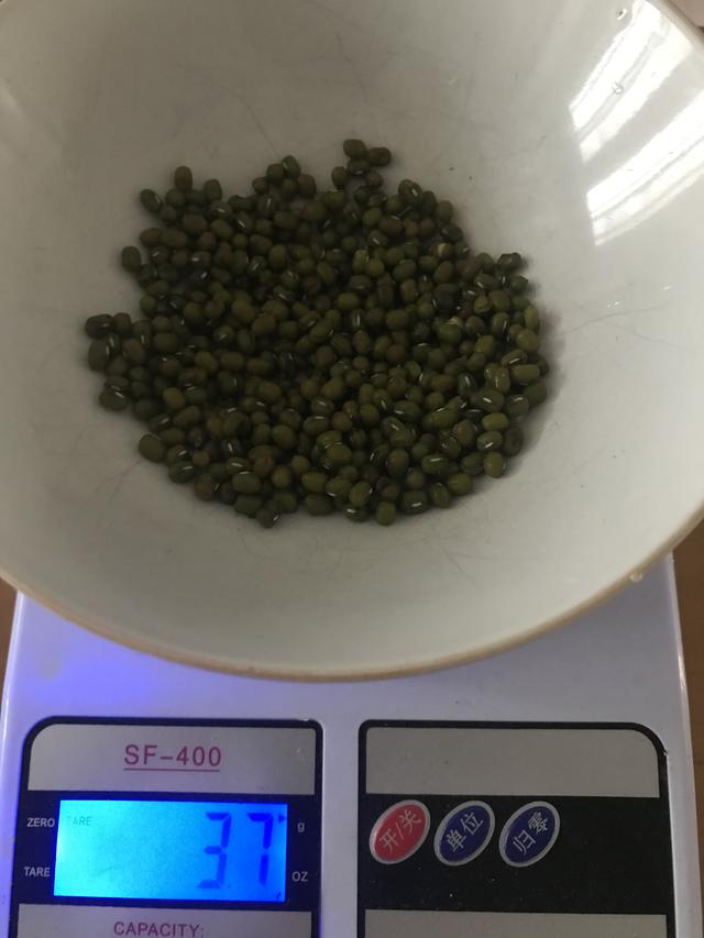 绿豆芽怎么生的视频教程（绿豆芽是怎么生的）-第2张图片