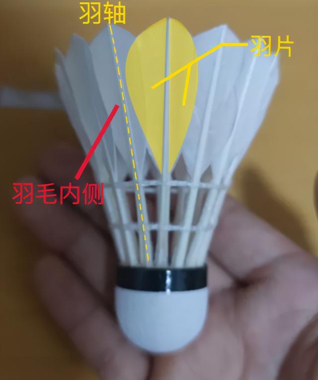 羽毛球大多是什么羽毛制成的（羽毛球制作材料）