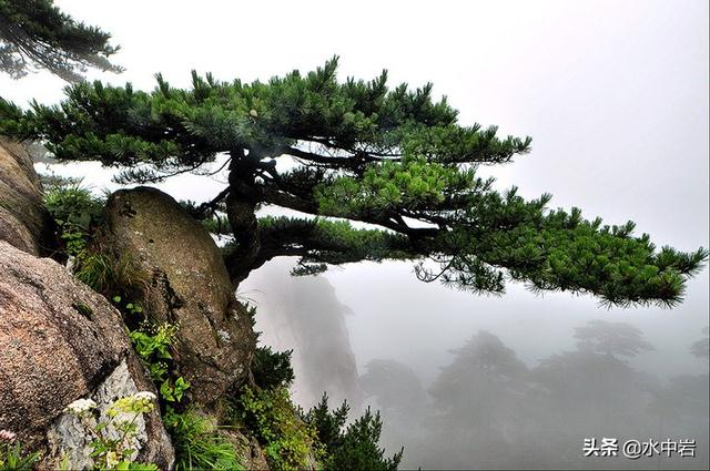 黄山奇石有哪些奇石（黄山奇石图片）-第7张图片