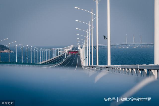 港珠澳大桥多长（为什么修桥必须死人）-第1张图片