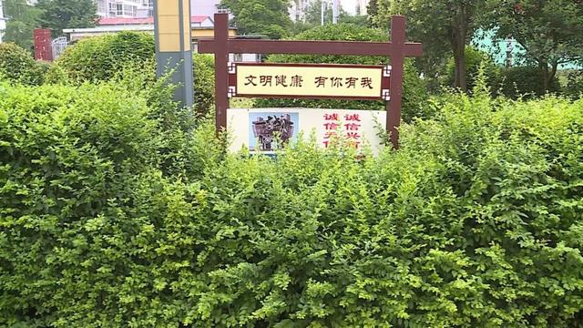 邳州市四户镇党委书记（四户镇政府领导班子）-第17张图片