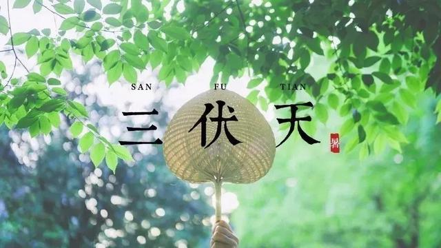 三伏天时间表2021哪几天（今年的三伏天时间表）-第1张图片