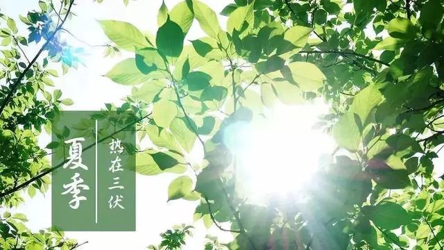 三伏天时间表2021哪几天（今年的三伏天时间表）-第2张图片