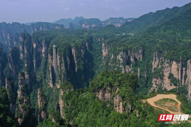 张家界门票免票政策（张家界旅游团报名五日游价格）