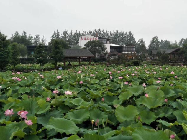 吉安永丰旅游景点（永丰旅游景点大全）-第39张图片