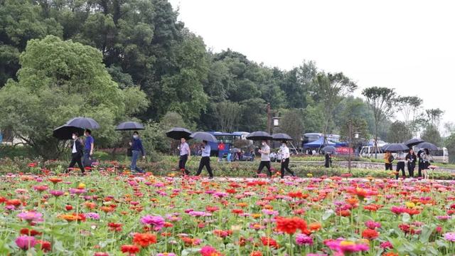 吉安永丰旅游景点（永丰旅游景点大全）-第48张图片