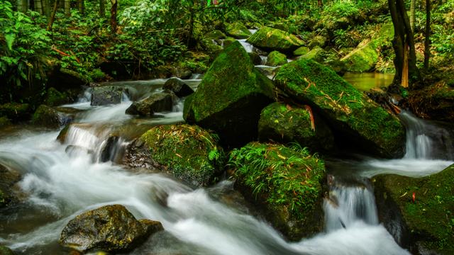 吉安永丰旅游景点（永丰旅游景点大全）-第59张图片