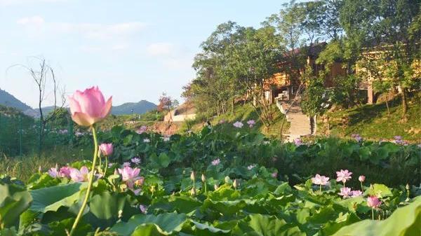 吉安永丰旅游景点（永丰旅游景点大全）-第60张图片