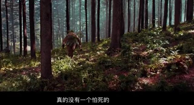 金刚川简介概括（金刚川主要内容概括）-第4张图片