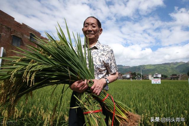 袁隆平是谁?他的贡献是什么?（袁隆平的四个主要成就）-第1张图片