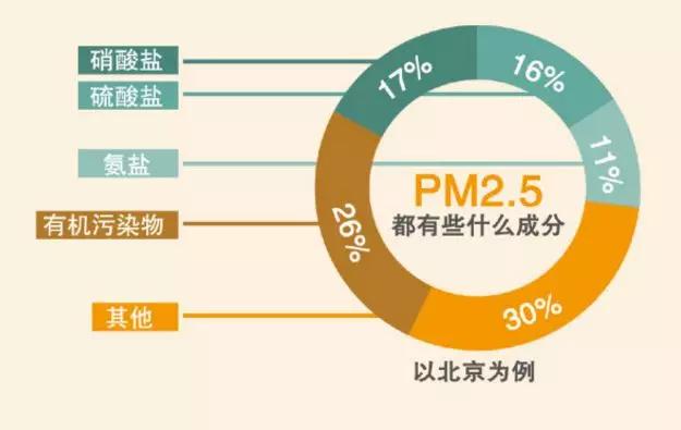 雾霾预防措施方法（雾霾的治理措施有哪些）-第4张图片