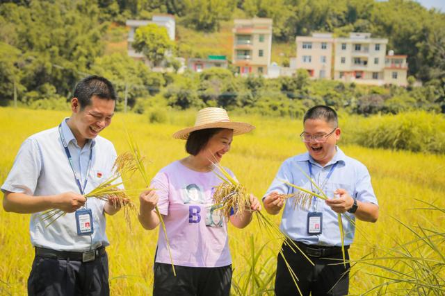 罗定市船步镇邮政编码是多少（罗定市船步镇有多少个村）