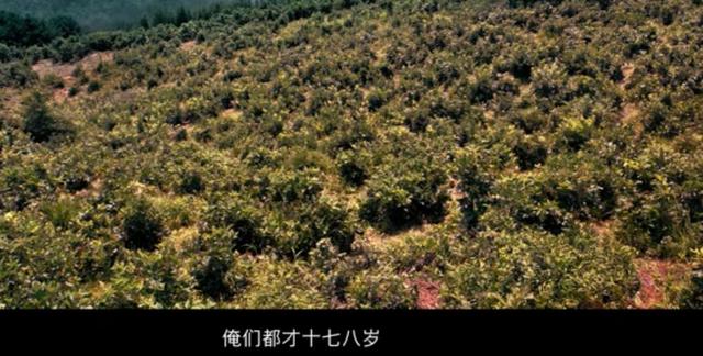 金刚川简介概括（金刚川主要内容概括）-第2张图片