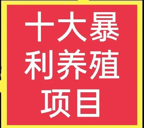 农村养殖致富网 十大暴利养殖项目-第1张图片