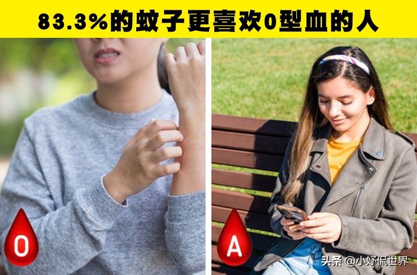 蚊子为什么喜欢在耳边嗡嗡叫（关于蚊子的7个有趣事实）-第6张图片