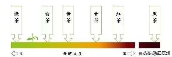 铁观音属于哪类茶 男人为什么不能喝铁观音-第3张图片