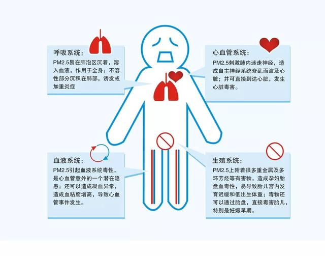 雾霾预防措施方法（雾霾的治理措施有哪些）-第6张图片