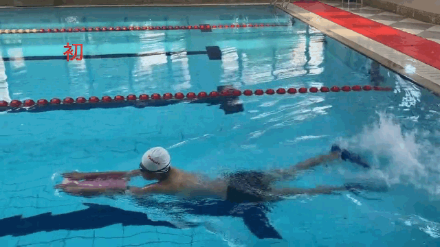 自由泳打腿技巧（自由泳脚打水技巧）-第2张图片