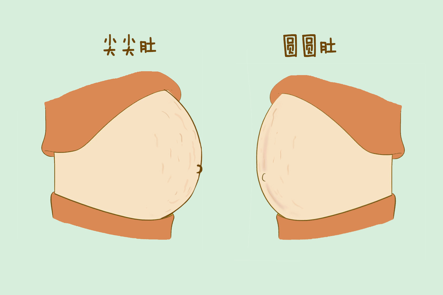 怎么能看出来怀孕男孩女孩（来看科学解释怎么说）