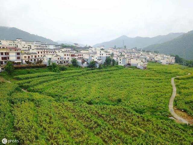 贵州望谟县属于哪个地区（贵州望谟县穷不穷）