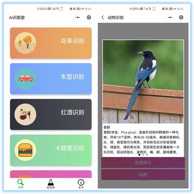 电商小程序有哪些功能和特点，小程序电商平台排名-第3张图片