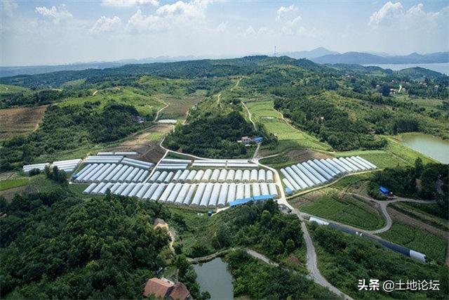 新农村创业项目有哪些，2022年最适合农村发展的项目有哪些
