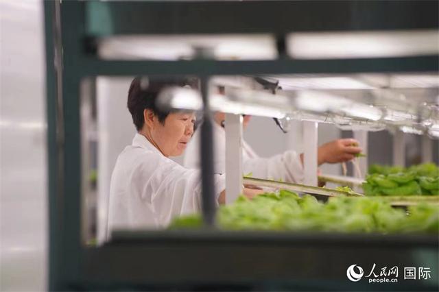 国家新技术产品有哪些（农业重大技术产品和装备发布）-第7张图片