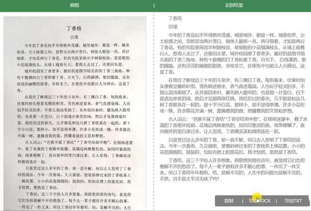 怎样把图片上的文字转换成word文档