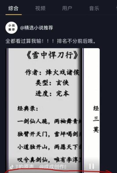 怎么用小说分销的模式去吸引流量赚钱-第9张图片