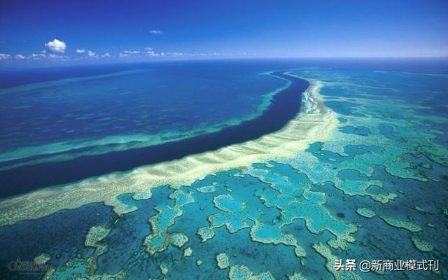 市场营销经典案例分析及答案（市场营销案例分析及解答）-第17张图片